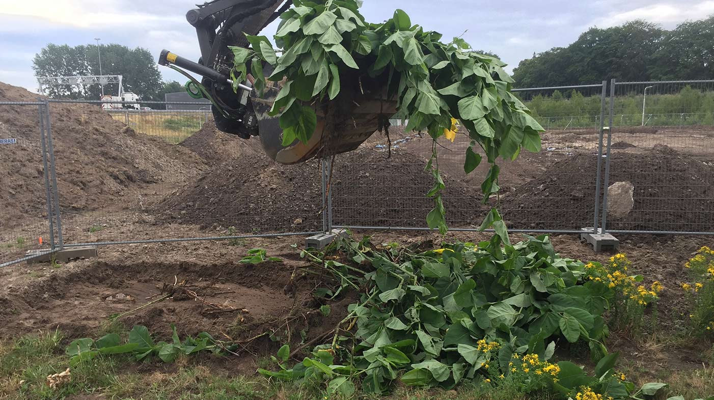 Het plan gaat in op een heel aantal activiteiten en processen. Varierend van inzage in klachten, wensen en verzoeken van burgers.
