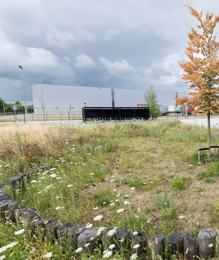 DLG   DC Echt Susteren   2