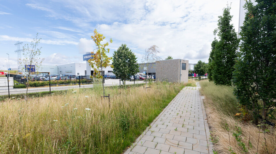 DLG   DC Echt Susteren   4