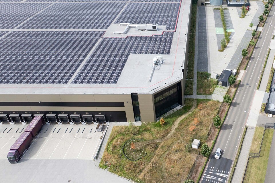 DLG   DC Echt Susteren   Banner