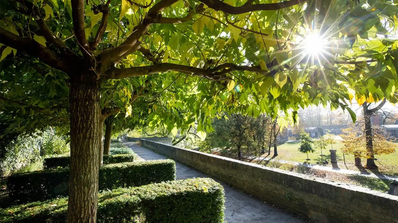 DLG - Groei in alle tinten groen - Nieuwsbericht 2025-3